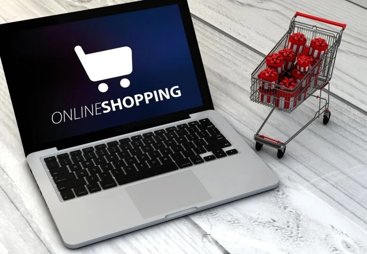 Custom Web Store vs. Generic eCommerce Platform